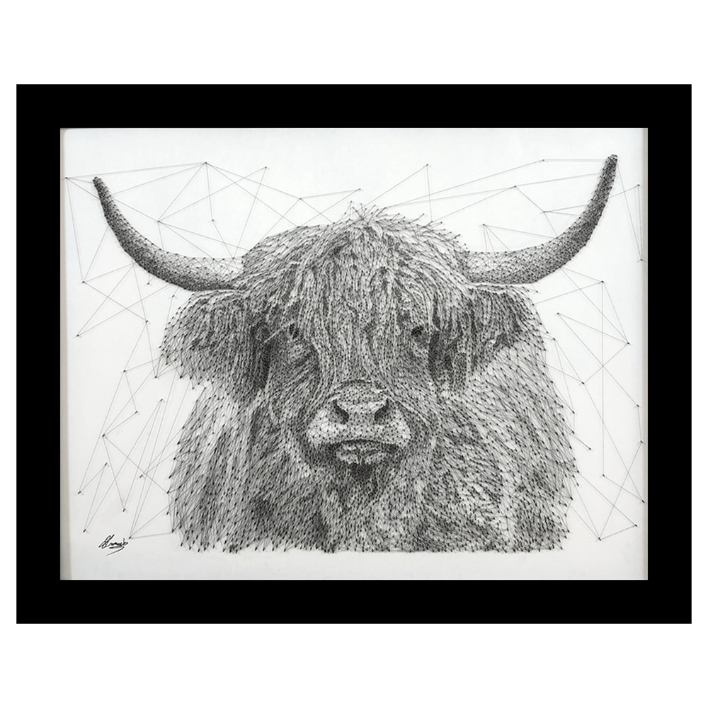 The Highland Cow